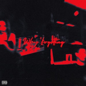 Why Forgetting? (Single Version|Explicit)