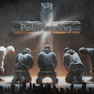 Polarisering