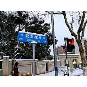 等一场紫荆花开 (伴奏)