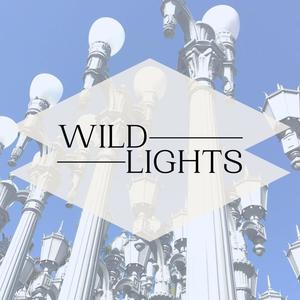 Wild Lights (Explicit)