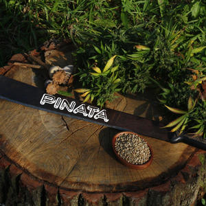 Piñata (feat. D!a & Ria Lane) (Explicit)