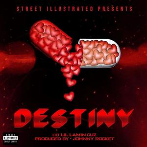 Destiny (Explicit)