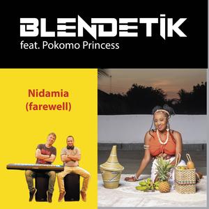 Nidamia (feat. Blendetik)