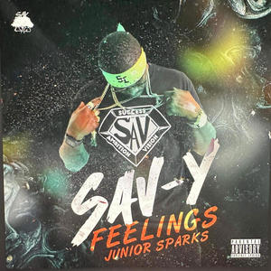 SAV-Y FEELINGS (Explicit)