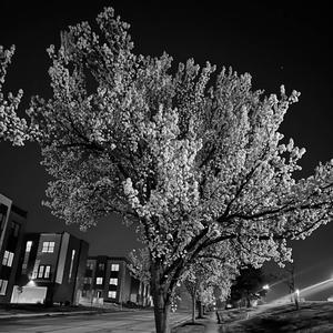 FAITH (feat. zupehr) (Explicit)