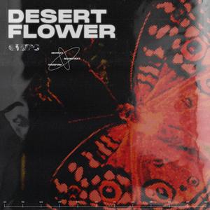 Desert Flower (feat. BrooksJourney)