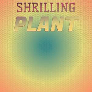 Shrilling Plant