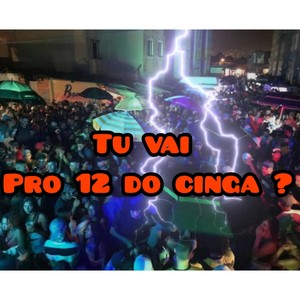 TU VAI PRO 12 DO CINGA
