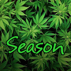 Season-50 Ways To Leave Dj MAX