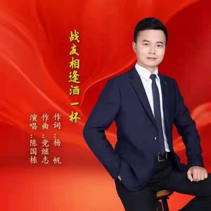 战友相逢酒一杯 (新版伴奏)