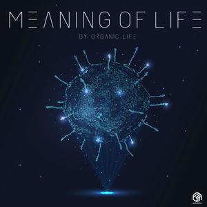 Meaning Of Life (Explicit)