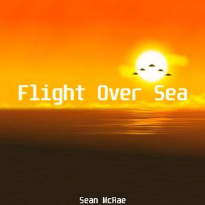 Flight Over Sea