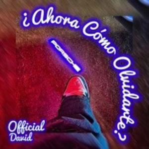 ¿Ahora cómo olvidarte?