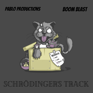 Schrödinger's Track (Explicit)