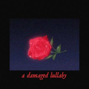 a damaged lullably (Explicit)