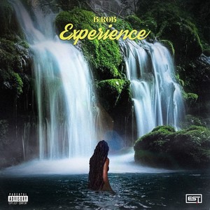 Experience (Explicit)