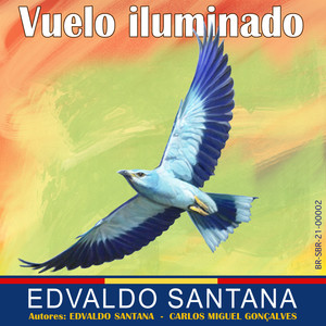 Vuelo Iluminado