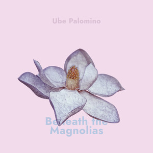 Beneath the Magnolias