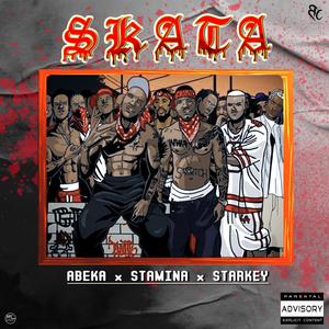 SKATA (Explicit)