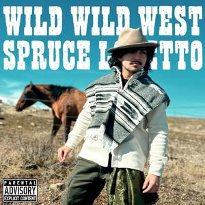 WILD WILD WEST (feat. nattybeendead)