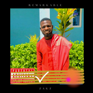 Zakz - remarkable (sound track)