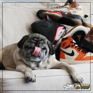 You My Dawg