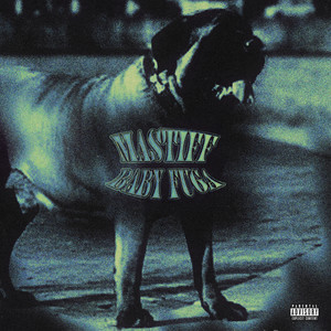 Mastiff (Explicit)