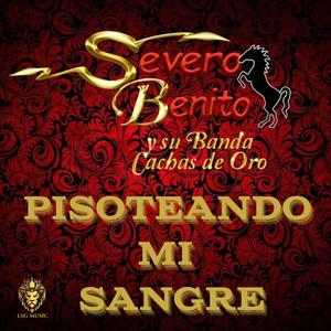 Pisoteando Mi Sangre