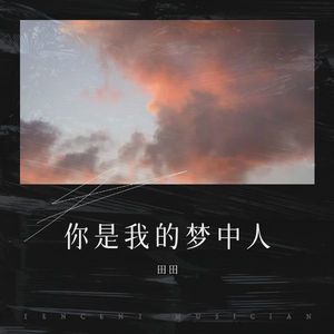 你是我的梦中人 (Live)