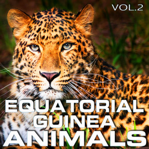 Animals Equatorial Guinea