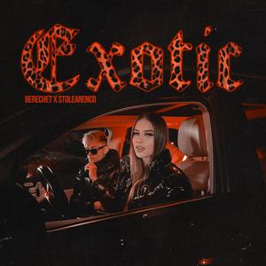 Exotic (feat. Stolearenco) [Explicit]