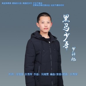黑马少年