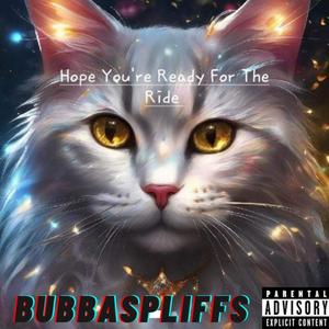 Hope You're Ready For The Ride (Explicit)