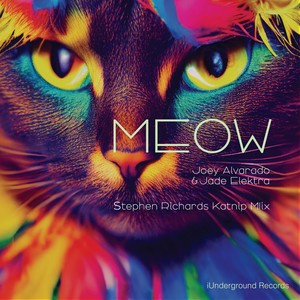 Meow (Stephen Richards Katnip Mix)