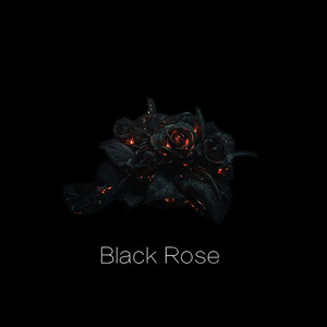 Black Rose