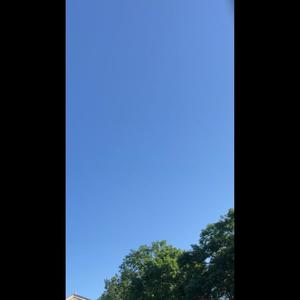 no boxin (feat. lulyaee & lulshaun) (Explicit)