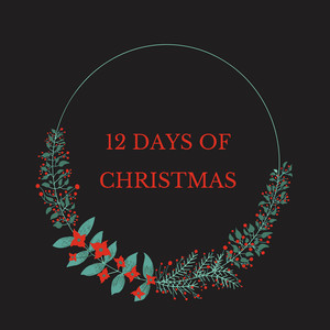 12 Days of Christmas