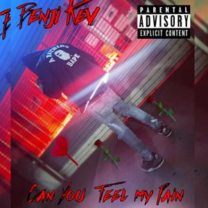 Can You Feel My Pain (Explicit)