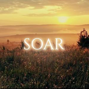 Soar