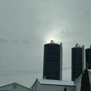 Oxidation (feat. Q-PiiiD & Roby)