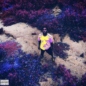 Night Freaks (Explicit)