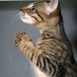 wtb (feat. yen core) (Explicit)