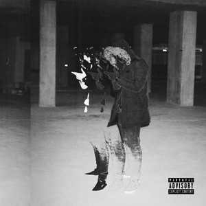 Human Torch (feat. Polski & parapet_wkd) (Remix|Explicit)