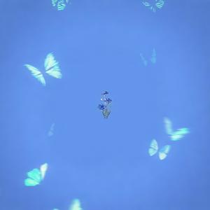 kornblumenblau (feat. jcfuckingf)