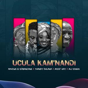 Ucula Kamnandi (feat. Msiz'kay, Thandy Dhlana & MJ Sings)