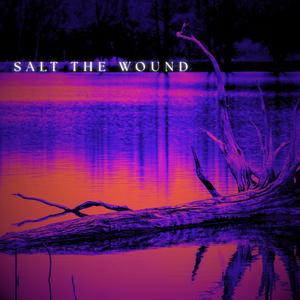 SALT THE WOUND
