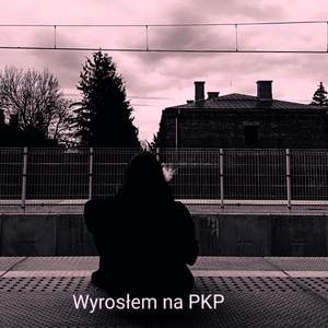 Wyrosłem na PKP (Explicit)