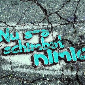 Nu s-a schimbat nimic(feat. Capeliy & DJ Nasa) (Radio Edit|Explicit)