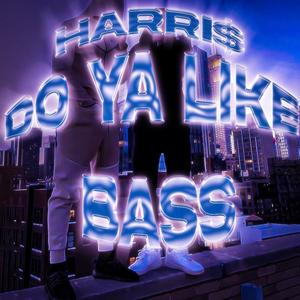 DO YA LIKE BASS