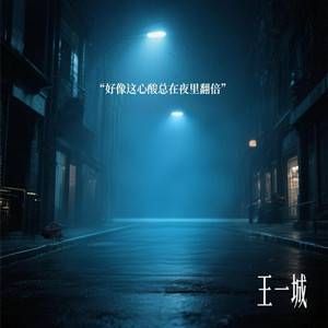 好像这心酸总在夜里翻倍 (烟嗓版)